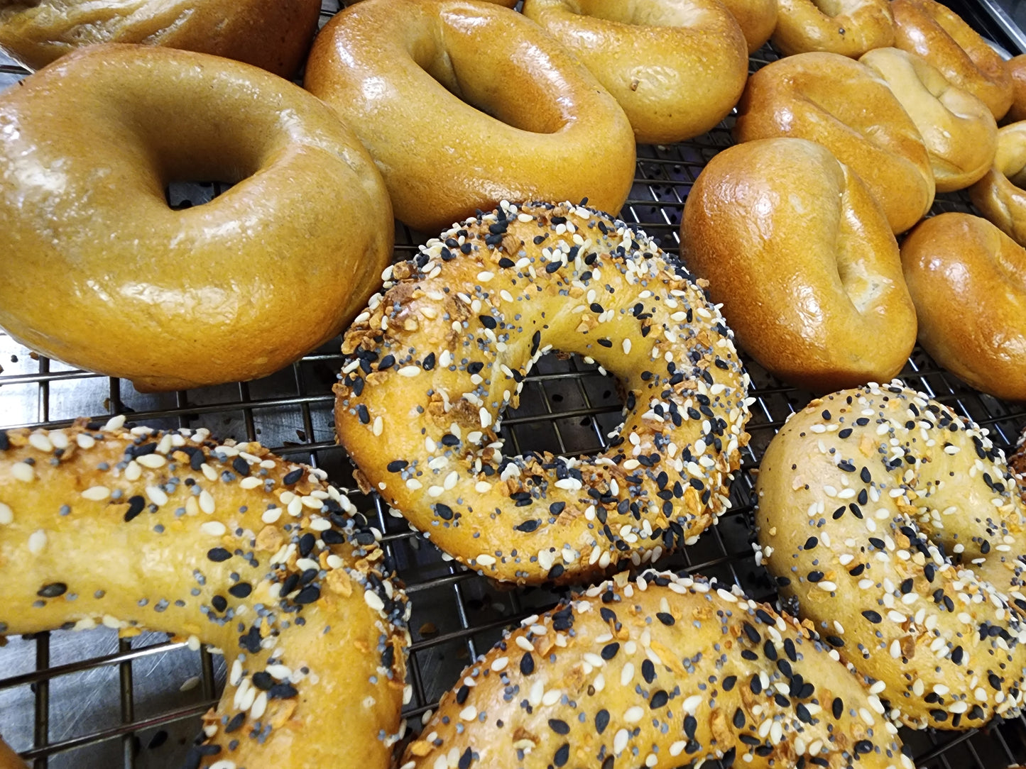 Mini Bagels Box of 12