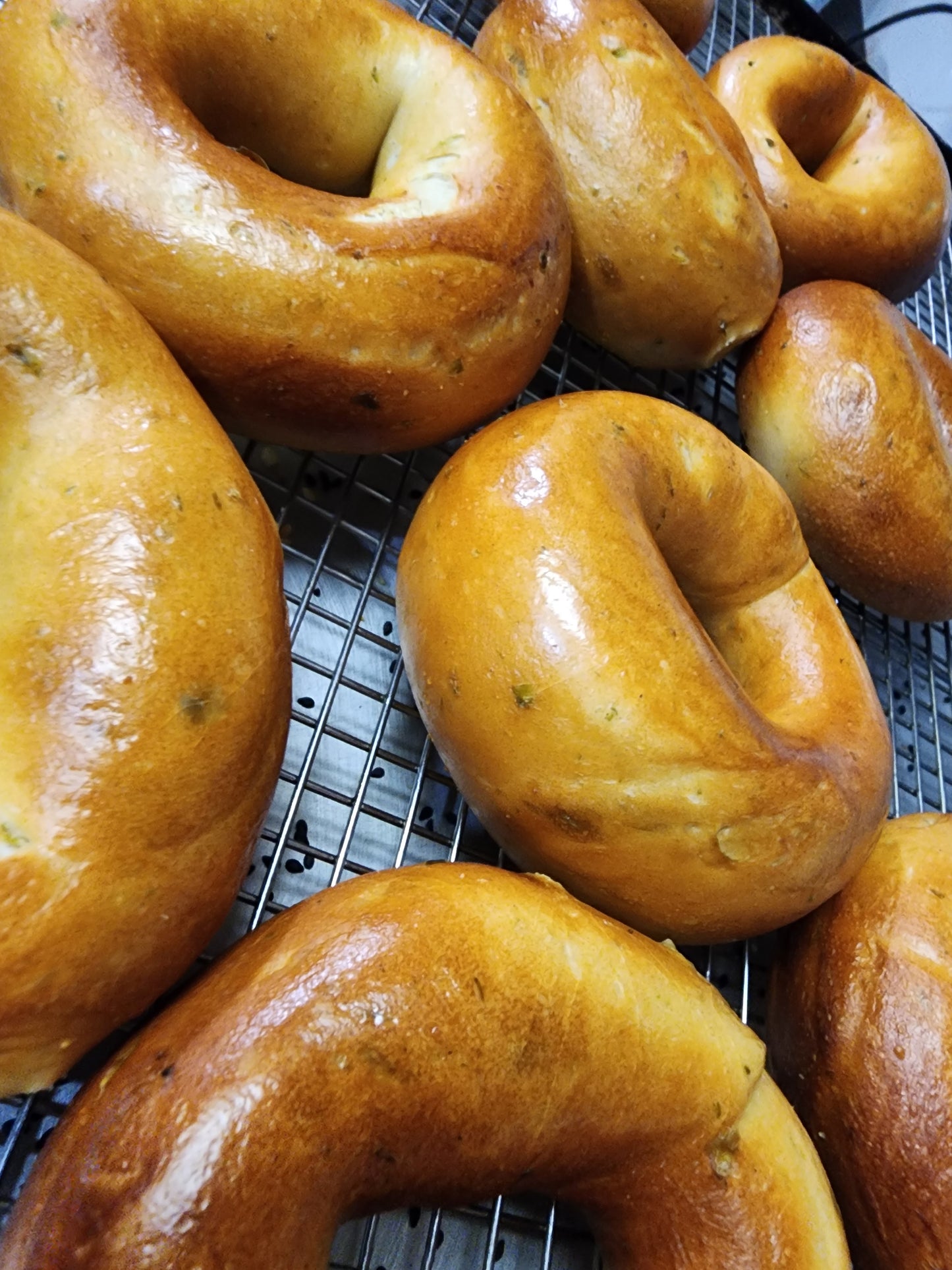 Hand-Rolled NY Bagel with Cream Cheese - Single